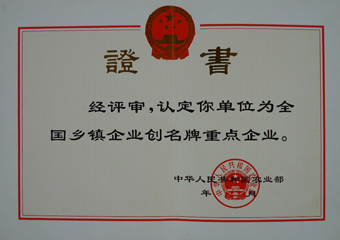 全国乡镇企业创名牌重点企业